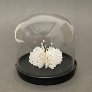 Medusa in Bell Jar | shop | Jenni Ward ceramic sculpture