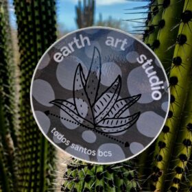 Earth Art Studio Agave Sticker | Shop | Jenni Ward ceramic sculpture