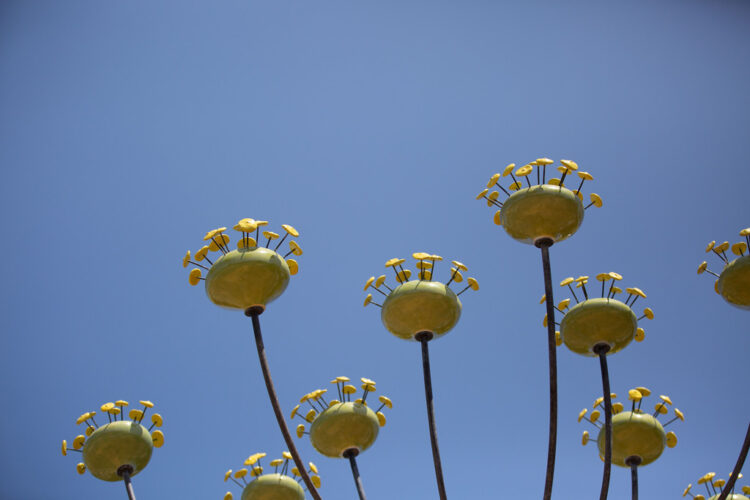 A Feast of Flowers | Public Art | Jenni Ward ceramic sculpture