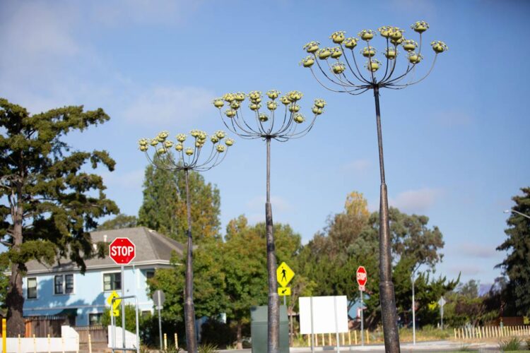 A Feast of Flowers | Public Art | Jenni Ward ceramic sculpture