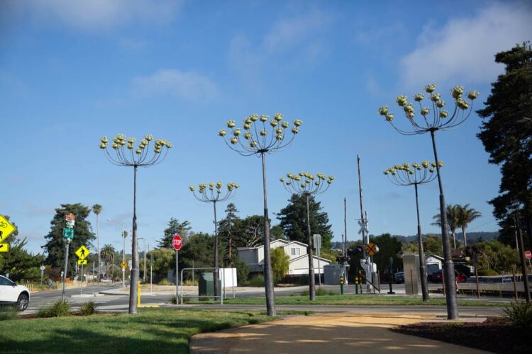 A Feast of Flowers | Public Art | Jenni Ward ceramic sculpture