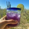 Workshop Series: Crafts + Cocktails | Shop | Earth Art Studio