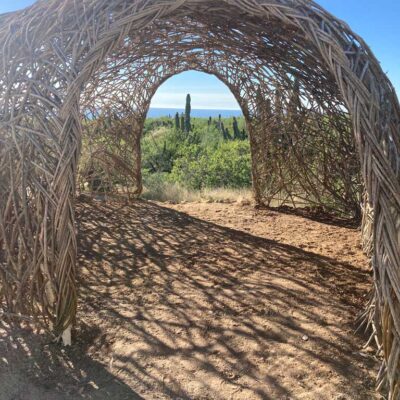 El Nido | the dirt | Jenni Ward Earth Art Studio