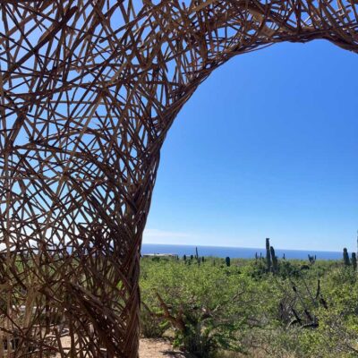 El Nido | the dirt | Jenni Ward Earth Art Studio