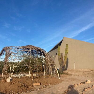 El Nido | the dirt | Jenni Ward Earth Art Studio