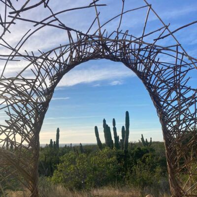 El Nido | the dirt | Jenni Ward Earth Art Studio