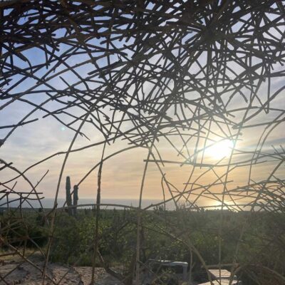 El Nido | the dirt | Jenni Ward Earth Art Studio