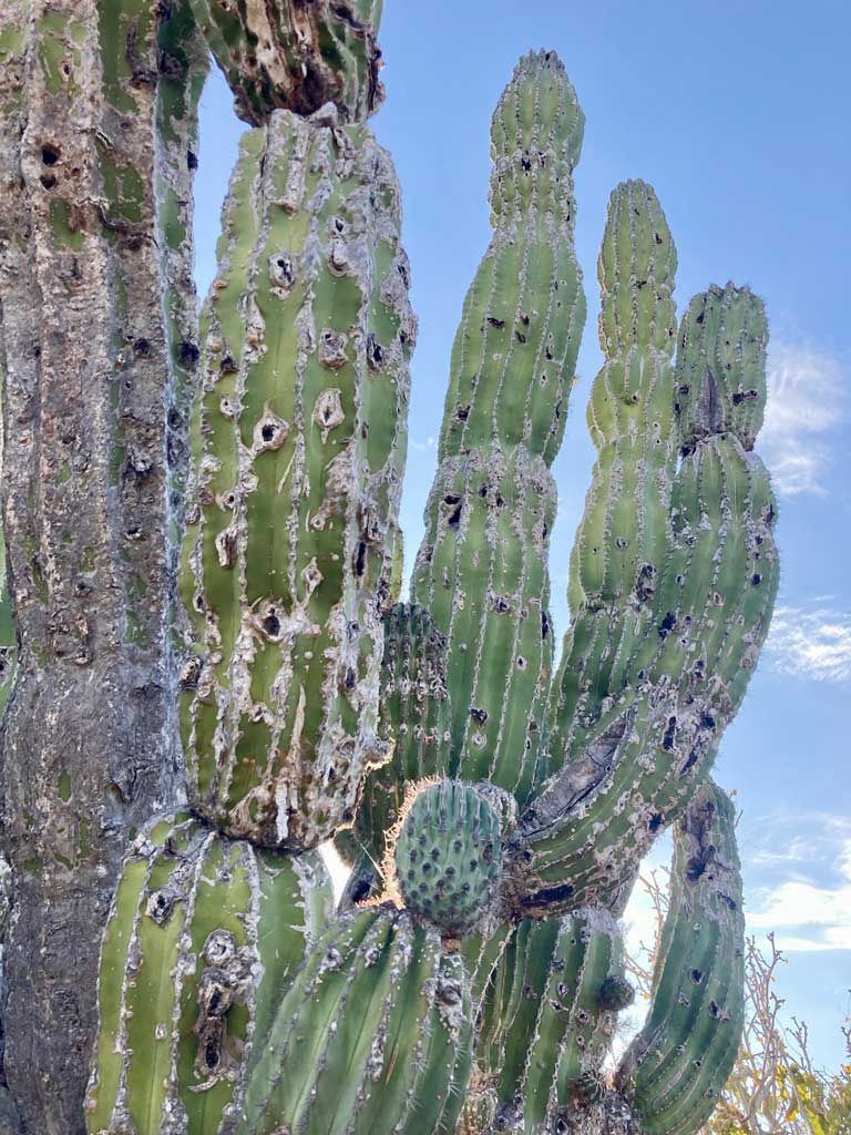 next time you visit... | the dirt | Earth Art Studio