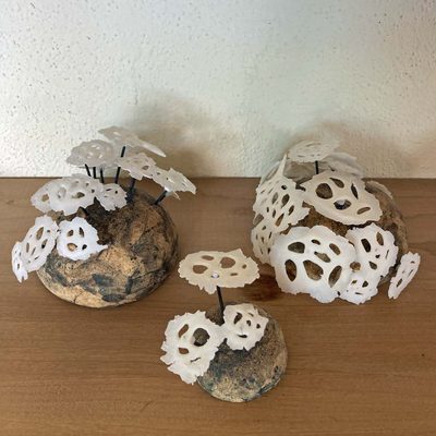 new work: holdfasts | Jenni Ward ceramic sculpture
