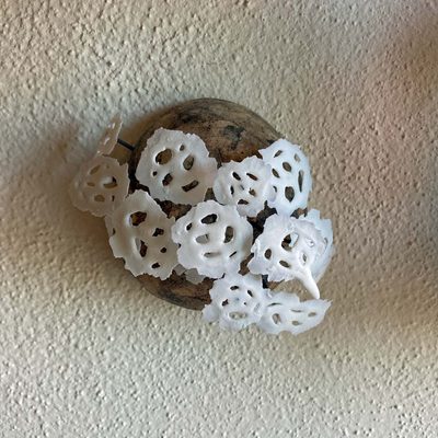 new work: holdfasts | Jenni Ward ceramic sculpture